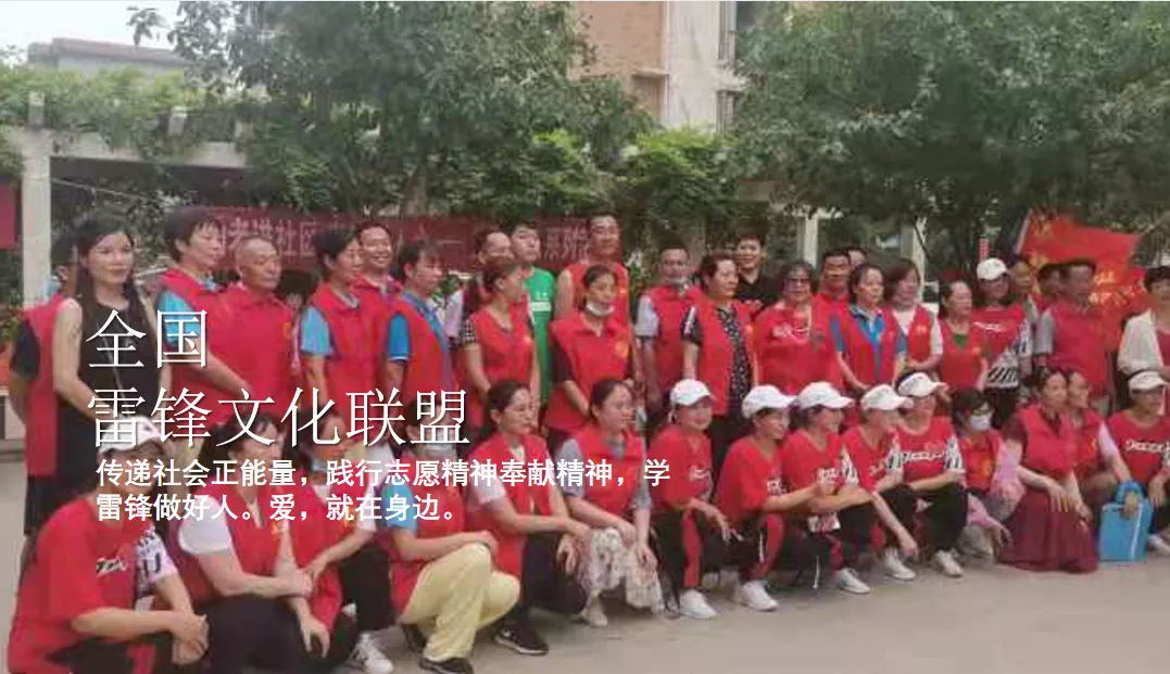 雷锋文化联盟志愿者进社区参加疫情防控工作