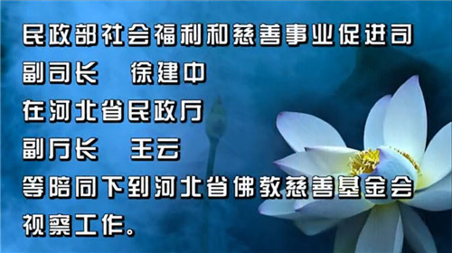 民政部领导到河北佛教慈善基金会视察工作